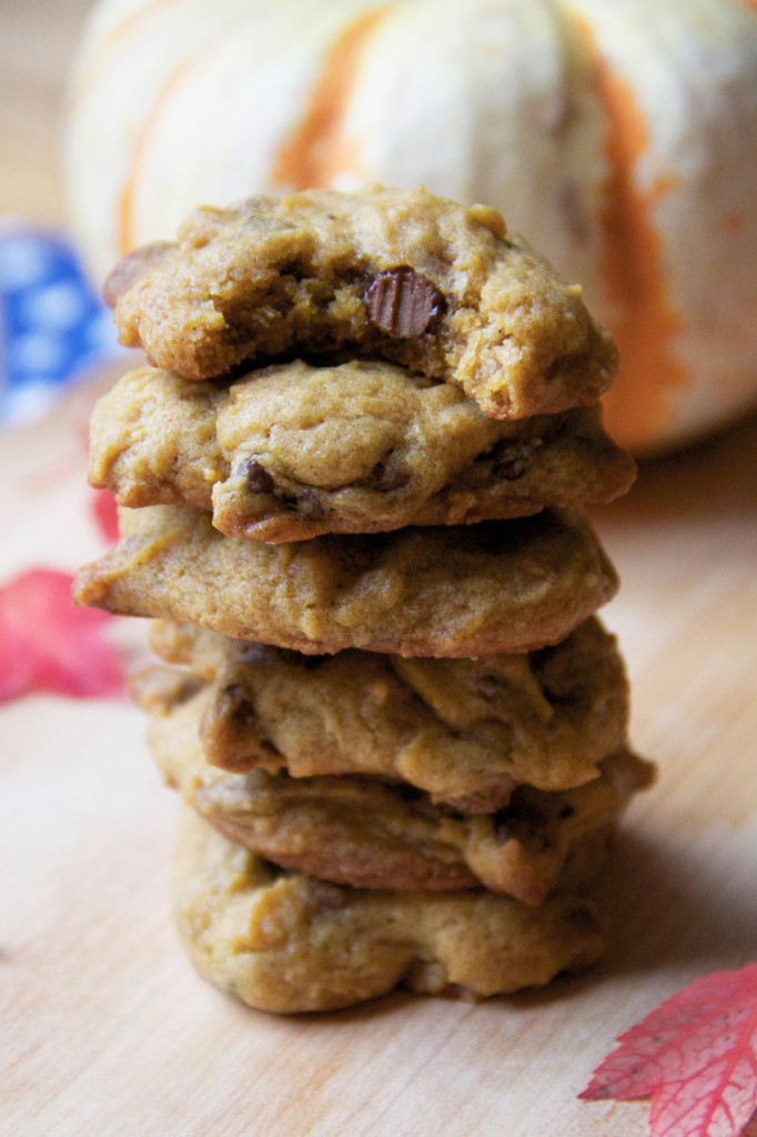 Pumpkin Chocolate Chip Cookie Recipe