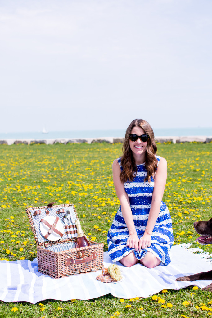 Picnic in Lincoln Park