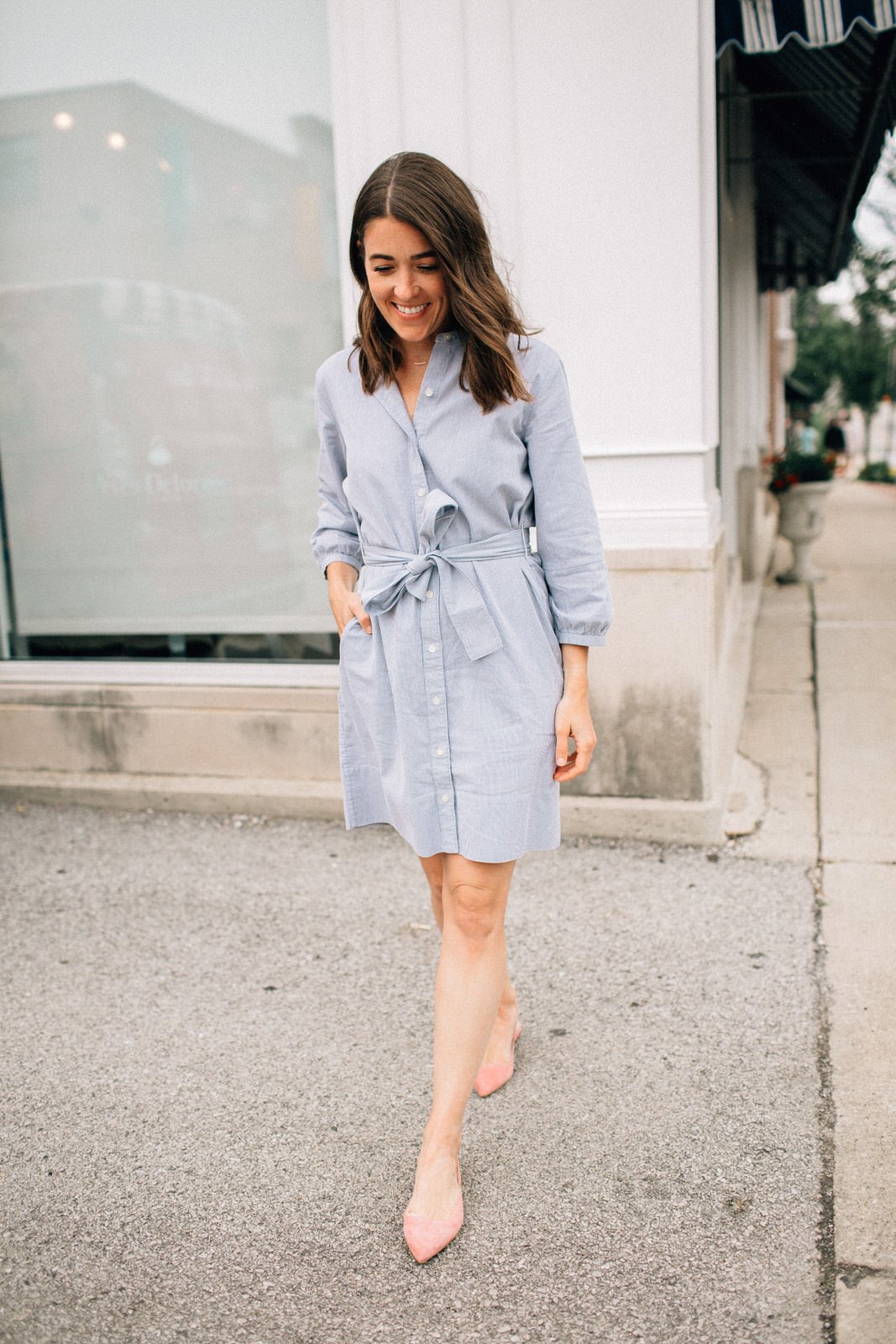 everlane striped shirt dress