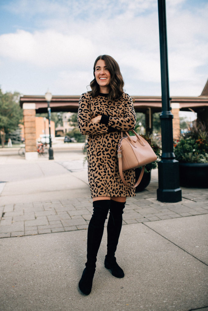 Leopard Sweater Dress main image 1
