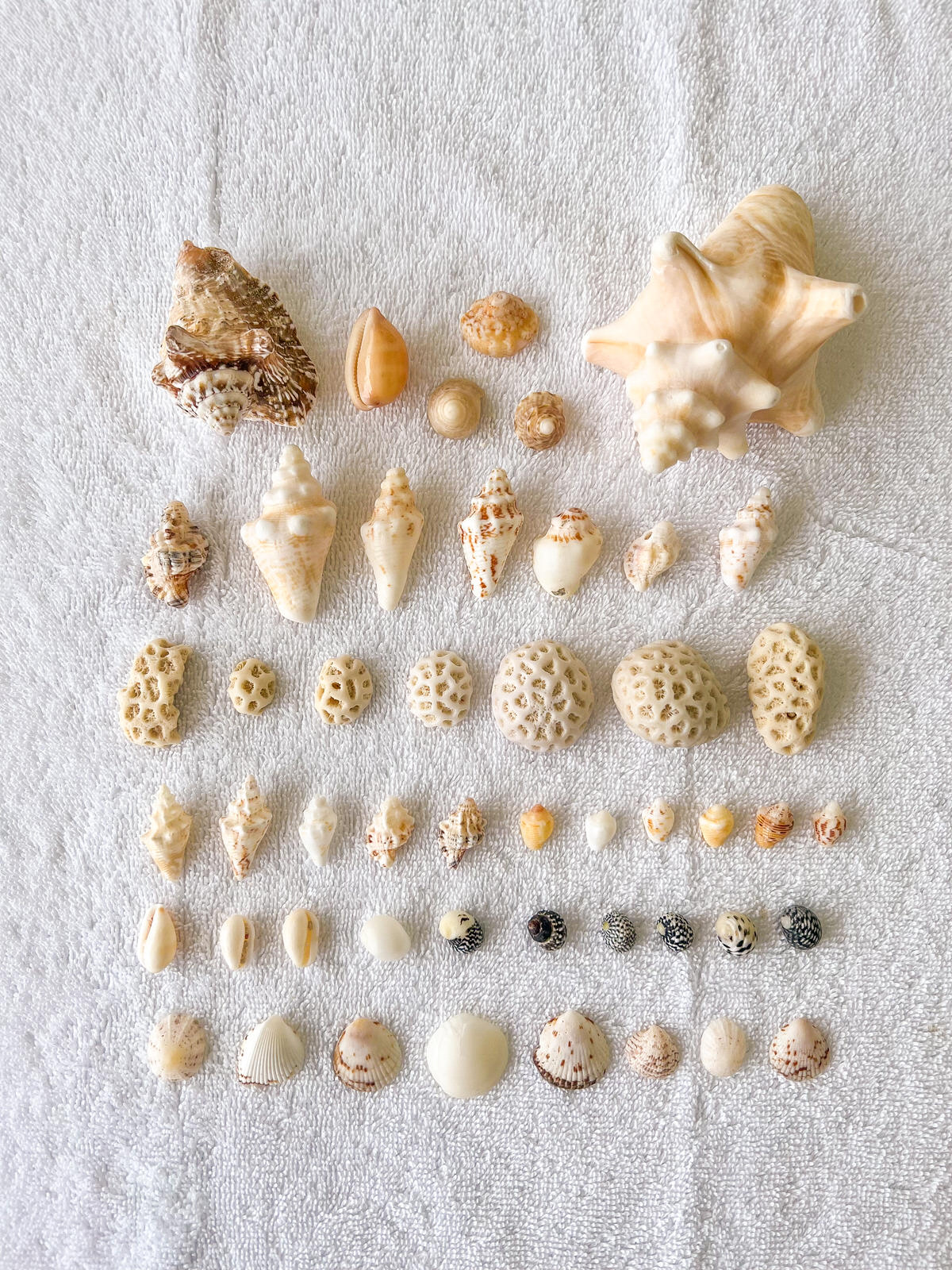 Our Trip to Grand Cayman — Hello Adams Family