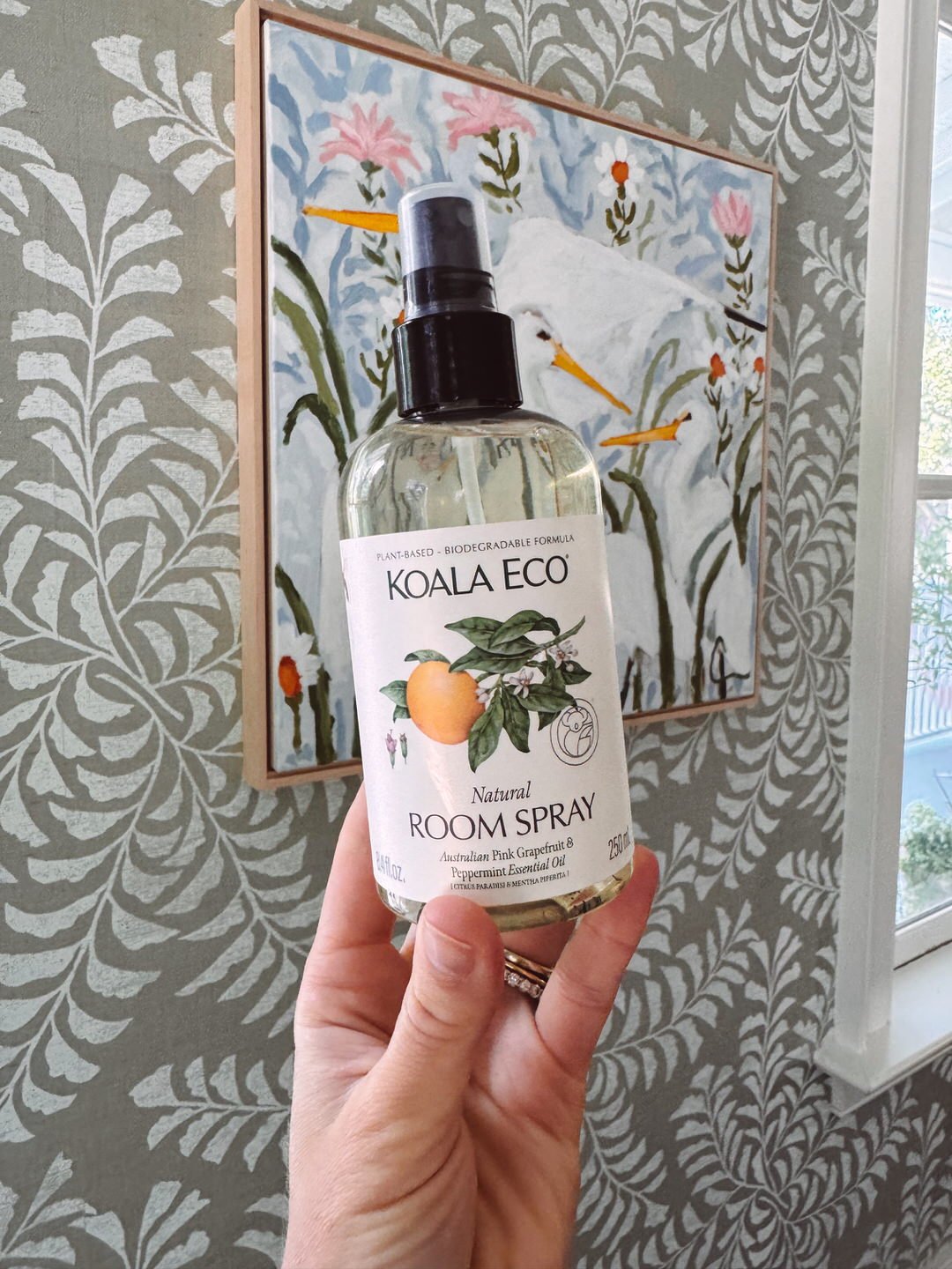 koala eco cleaning products, non toxic