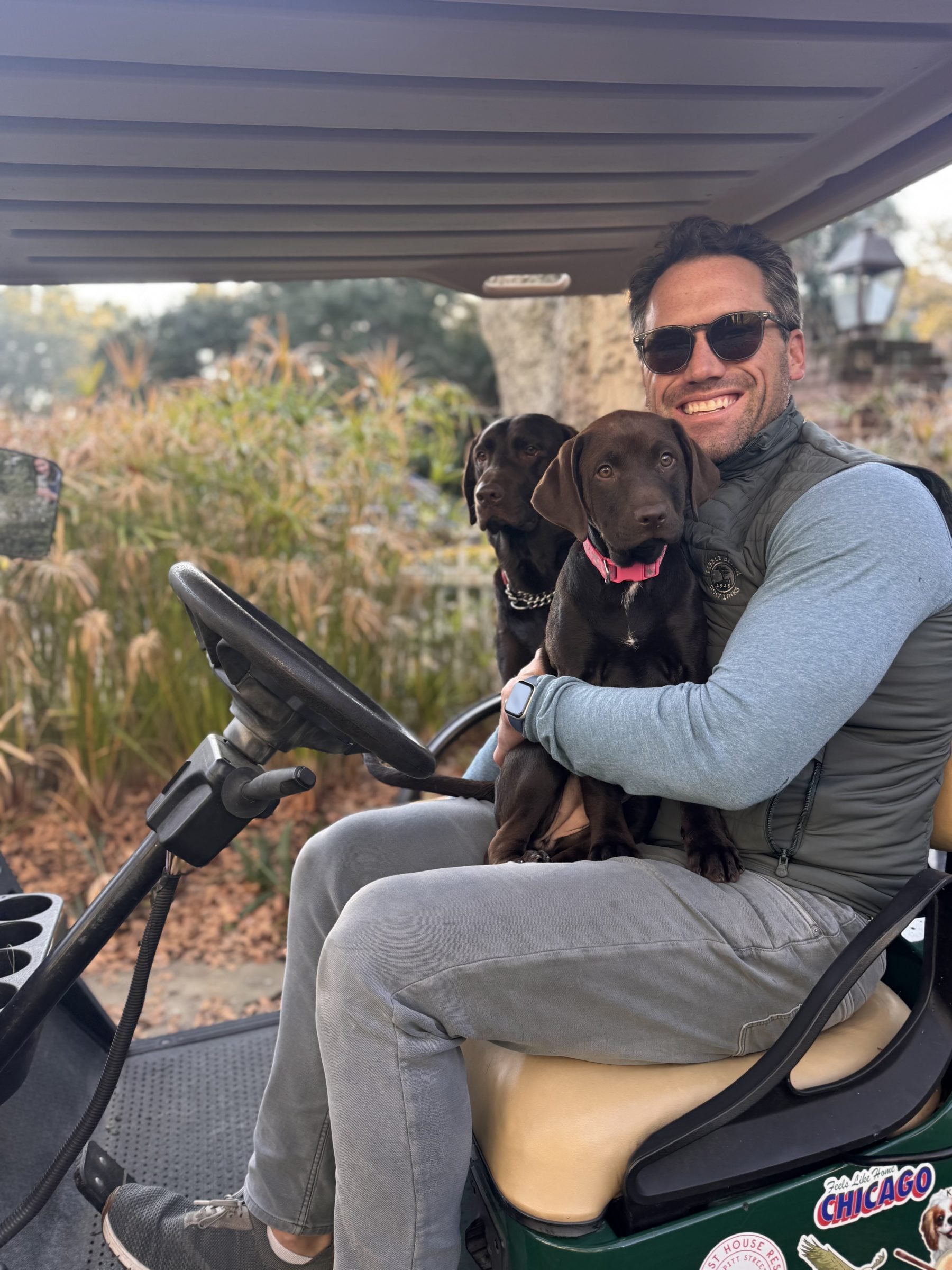 we got our dog a dog